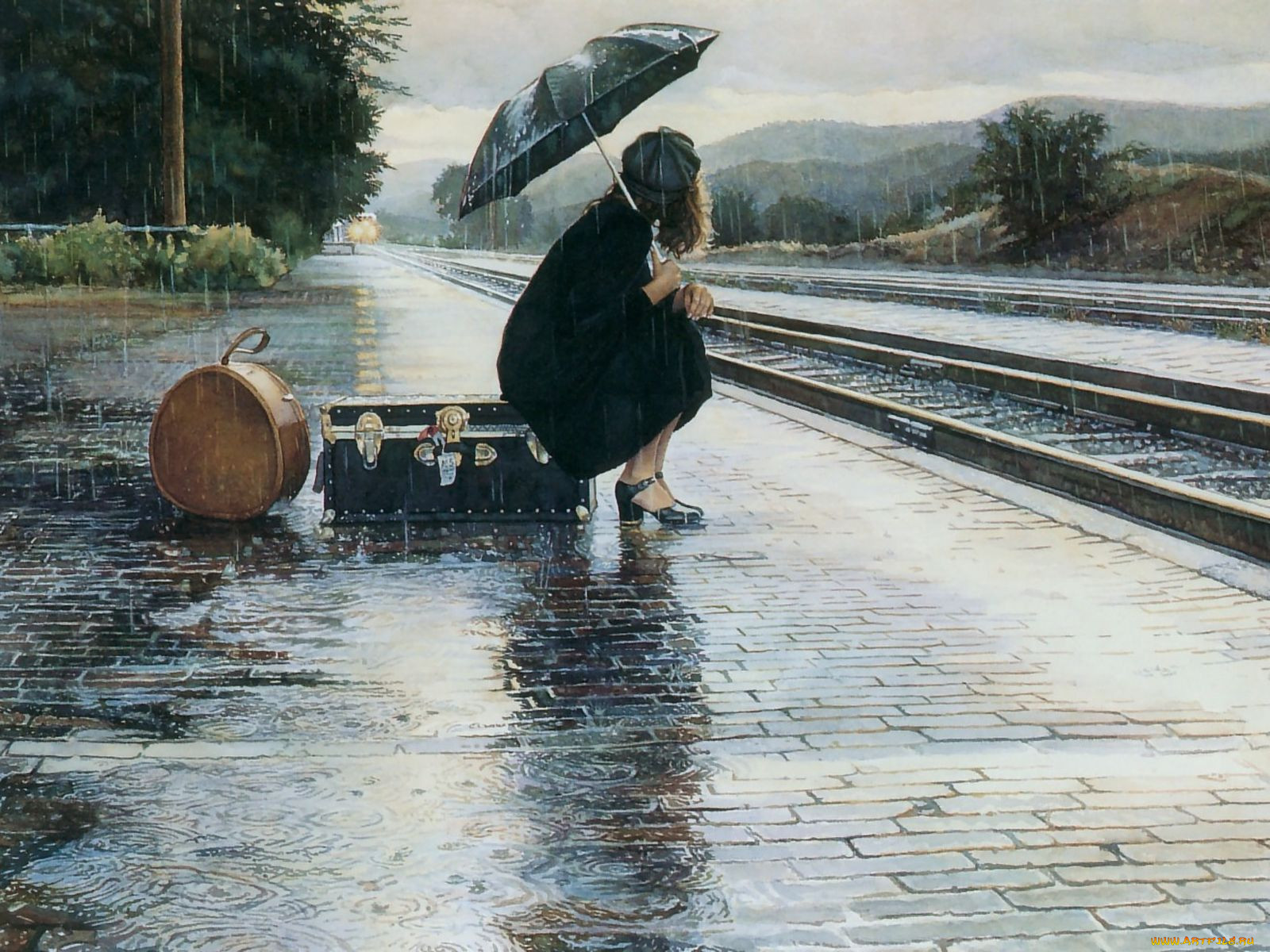 steve, hanks, 